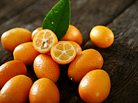 Meiwa kumquat