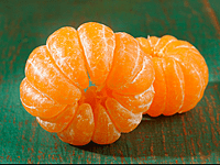 Corsica Mandarin