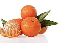 Mandarin Afourer