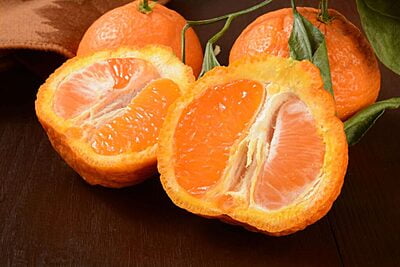 Sumo Citrus Mandarin